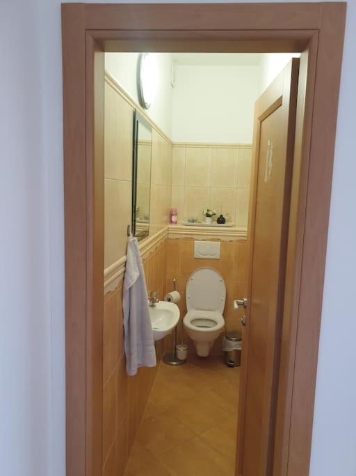 Mezonetovy Apartman V Centre Novej Dubnice Ilava Екстериор снимка